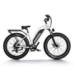 Jackson Briggs Nelly Electric Bike