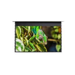 EluneVision Reference EVO 8K 106" 16:9 1.0 Gain In-ceiling Tab-Tensioned Projector Screen